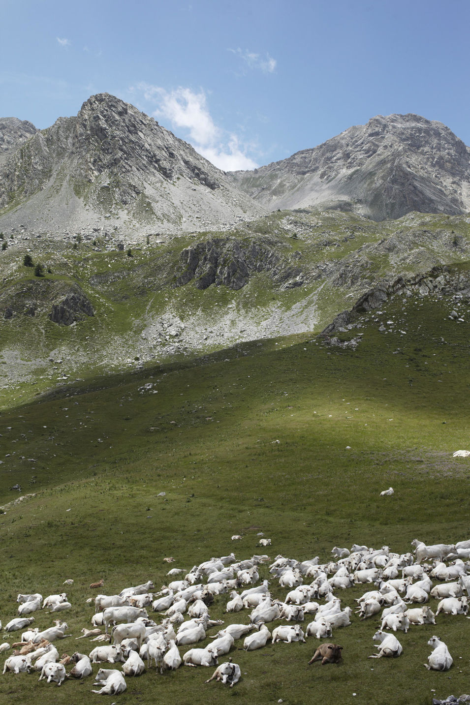 Das Mairatal ist in den Bergen des Piemont. Wunderschön und überbordend mit Natur. Die meisten Einwohner haben es auf der Suchen nach Arbeit verlassen.