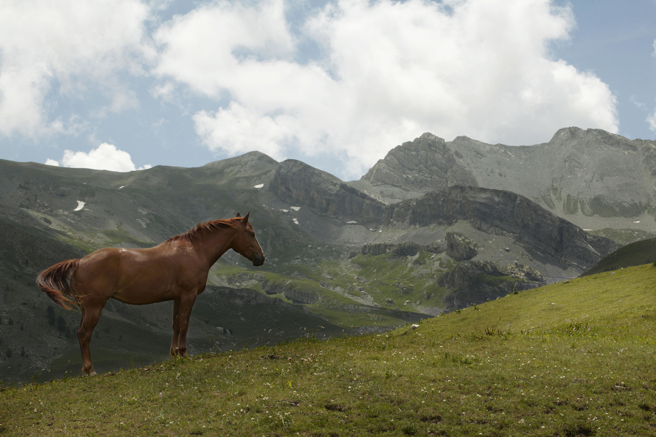 Das Mairatal ist in den Bergen des Piemont. Wunderschön und überbordend mit Natur. Die meisten Einwohner haben es auf der Suchen nach Arbeit verlassen.