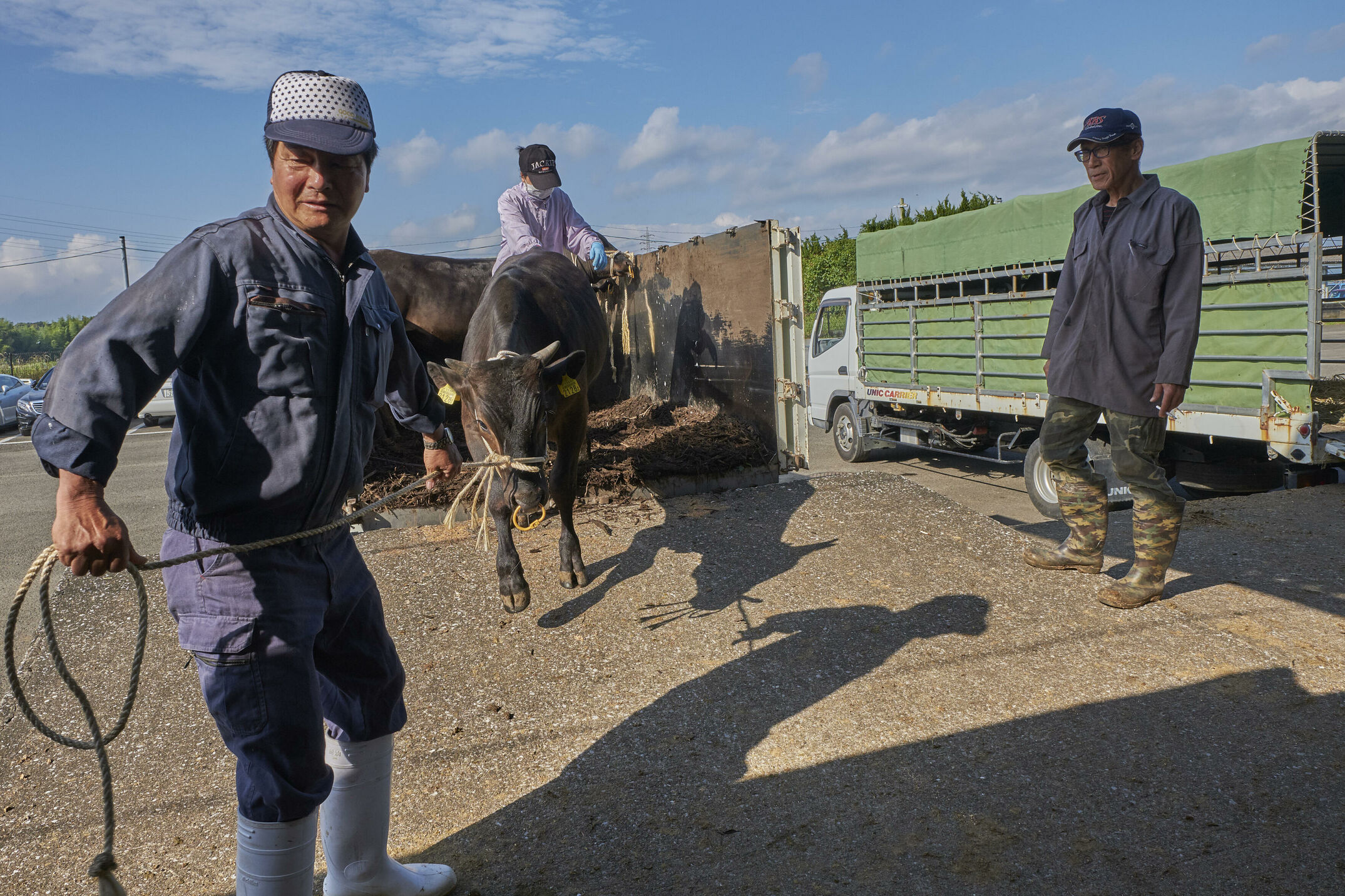 Reportage in Japan über Wagyu. Wir besuchen eine Kalbauktion, Herrn Ozaki und seine Rinder, ein Schlachthof in Himeji und eine Kobe Beef Farm in der Präfektur Hyogo. Für das BEEF! Magazin.