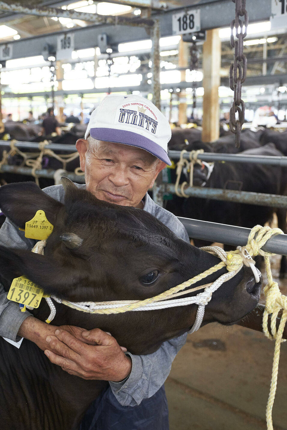 Reportage in Japan über Wagyu. Wir besuchen eine Kalbauktion, Herrn Ozaki und seine Rinder, ein Schlachthof in Himeji und eine Kobe Beef Farm in der Präfektur Hyogo. Für das BEEF! Magazin.